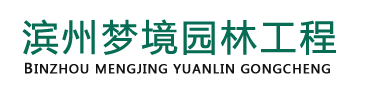 濱州市夢境園林工程有限公司|濱州園林養護|濱州綠化設計|濱州綠化工程施工