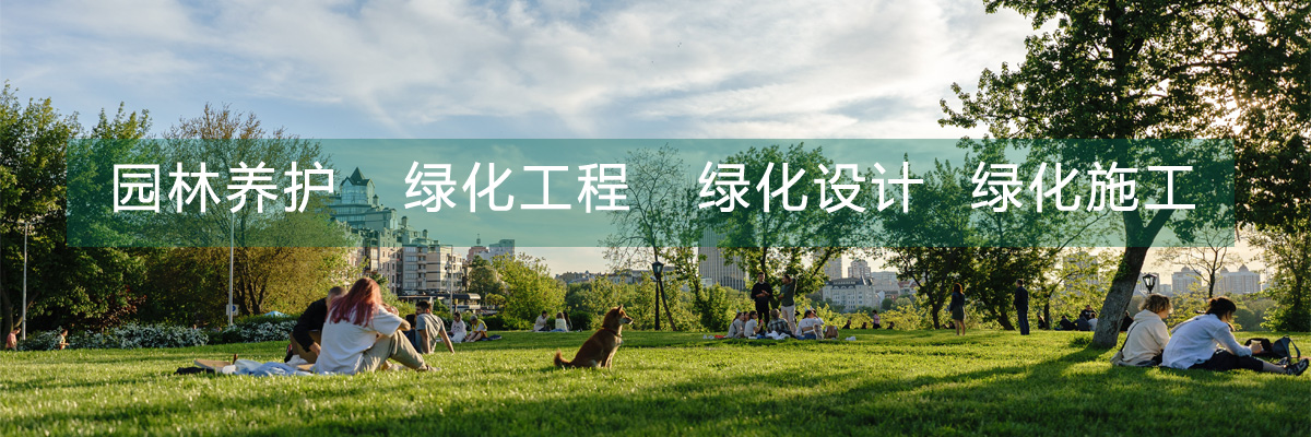 濱州園林養護